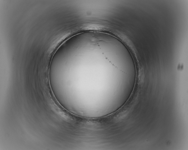 X0000113120529200908281440