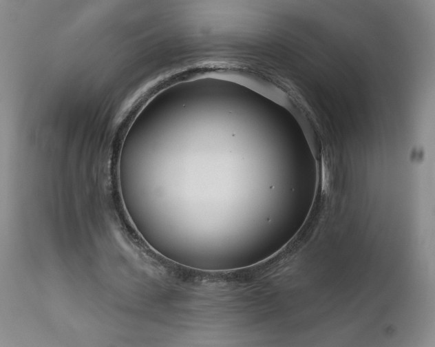 X0000113120531200908281440