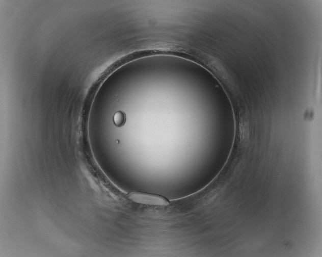 X0000113120532200908281440