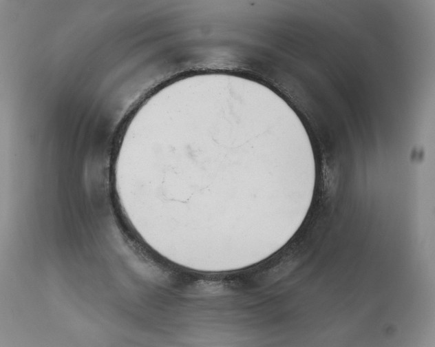 X0000113120534200908281440