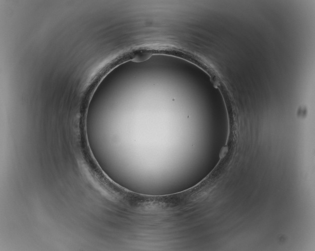 X0000113120535200908281440