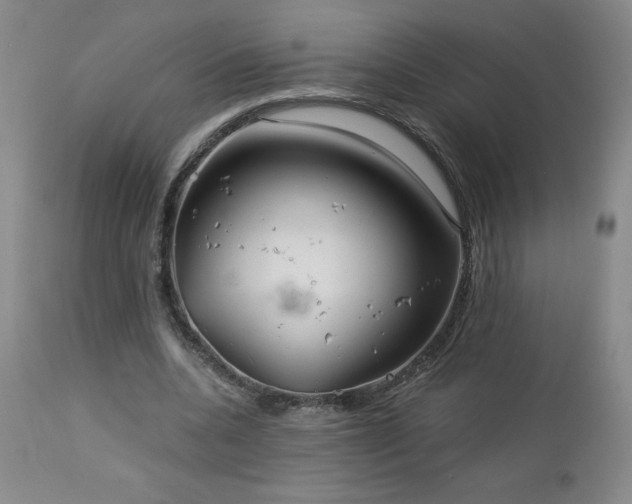 X0000113120536200908281440