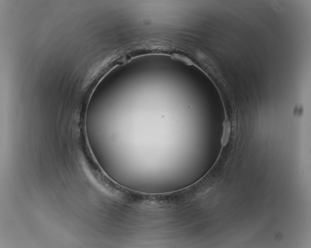 X0000113120538200908281440