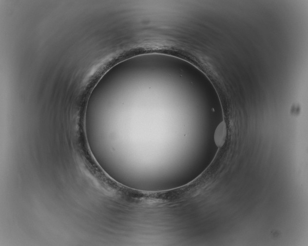 X0000113120539200908281440