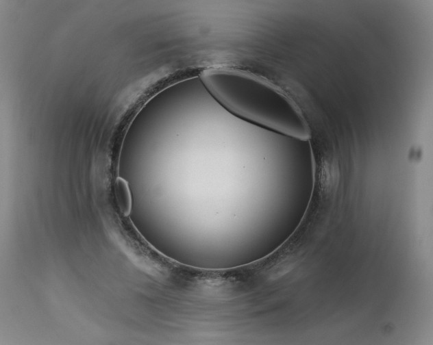 X0000113120540200908281440