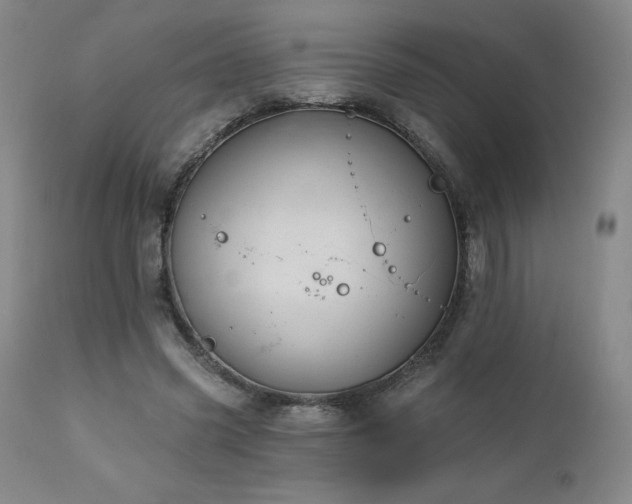 X0000113120541200908281440