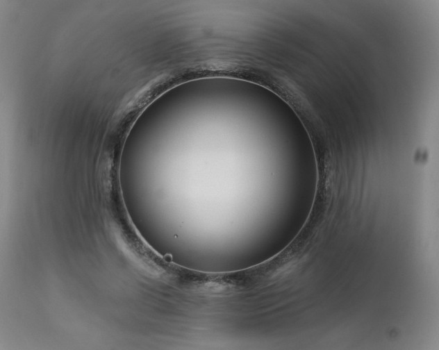 X0000113120542200908281440