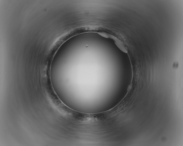 X0000113120543200908281440