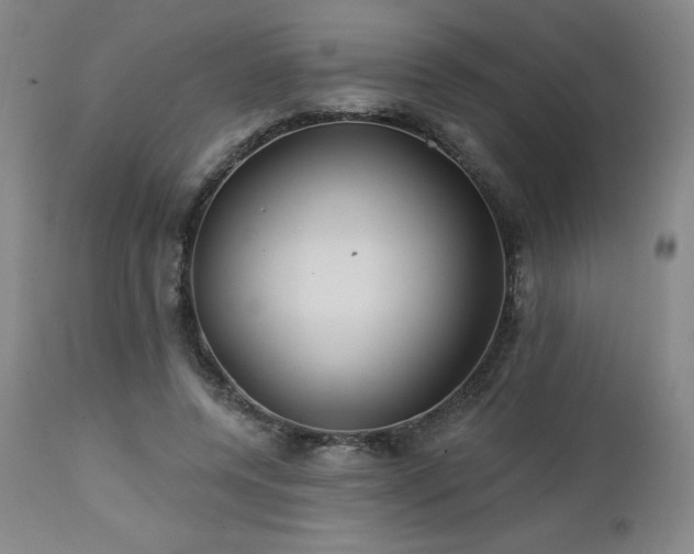 X0000113120544200908281440