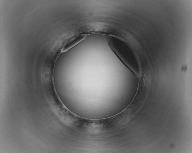 X0000113120546200908281440