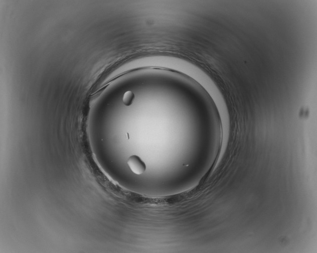 X0000113120548200908281440