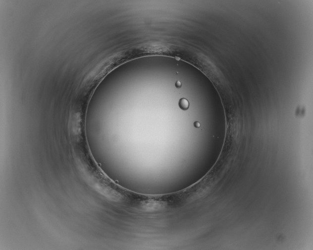 X0000113120549200908281440