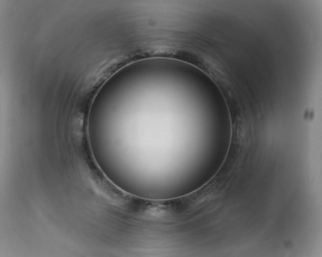 X0000113120550200908281440