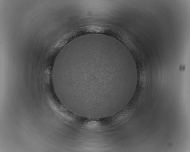 X0000113120551200908281440