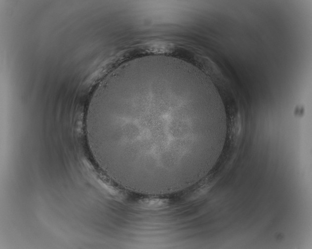 X0000113120553200908281440