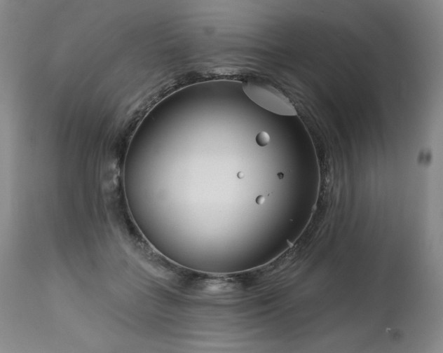 X0000113120555200908281440