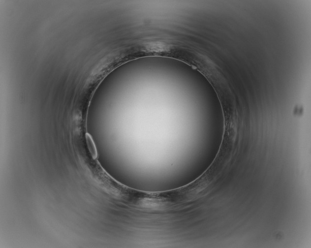 X0000113120556200908281440