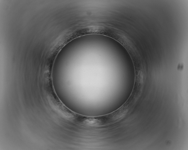 X0000113120557200908281440