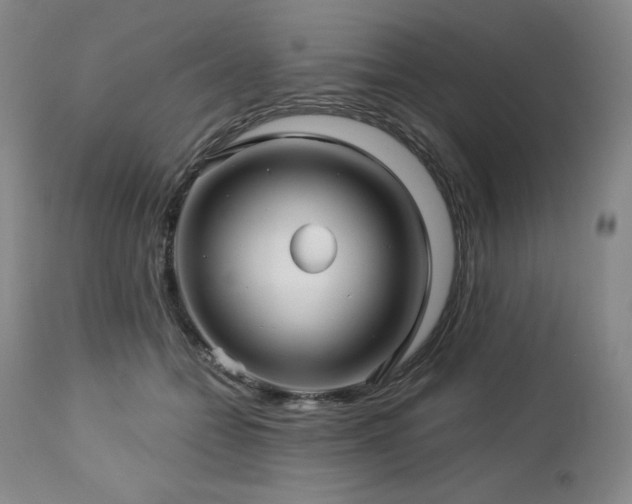 X0000113120558200908281440