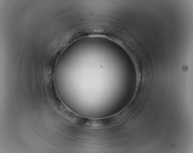 X0000113120559200908281440