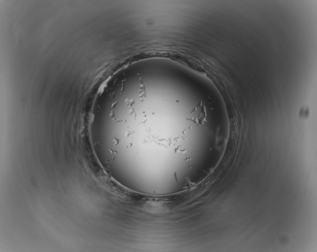 X0000113120560200908281440