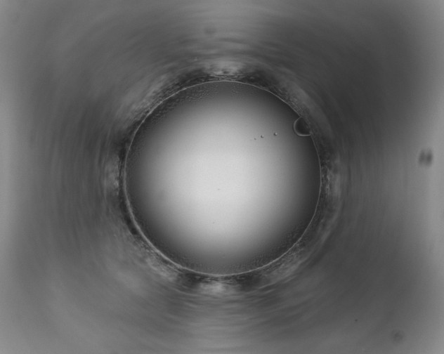 X0000113120561200908281440