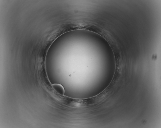 X0000113120563200908281440