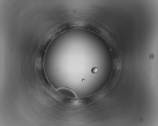 X0000113120564200908281440