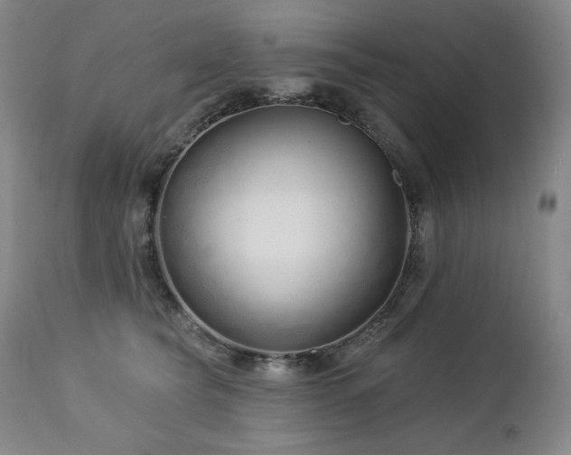 X0000113120565200908281440