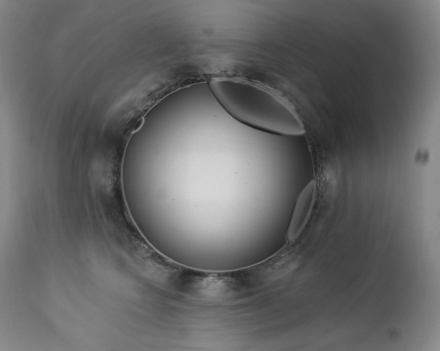 X0000113120566200908281440