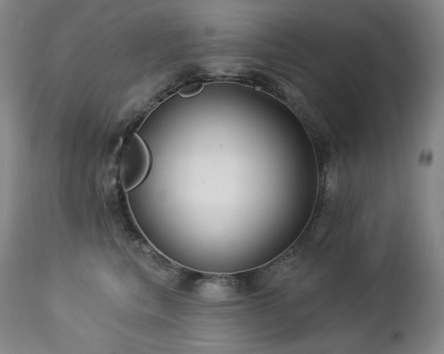 X0000113120567200908281440