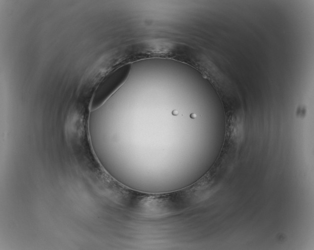 X0000113120568200908281440