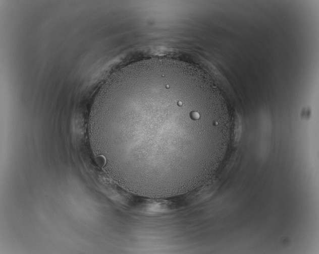 X0000113120569200908281440