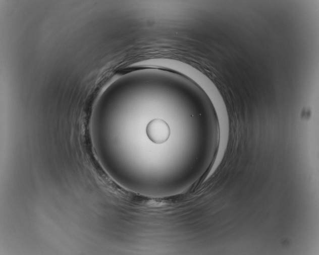 X0000113120570200908281441