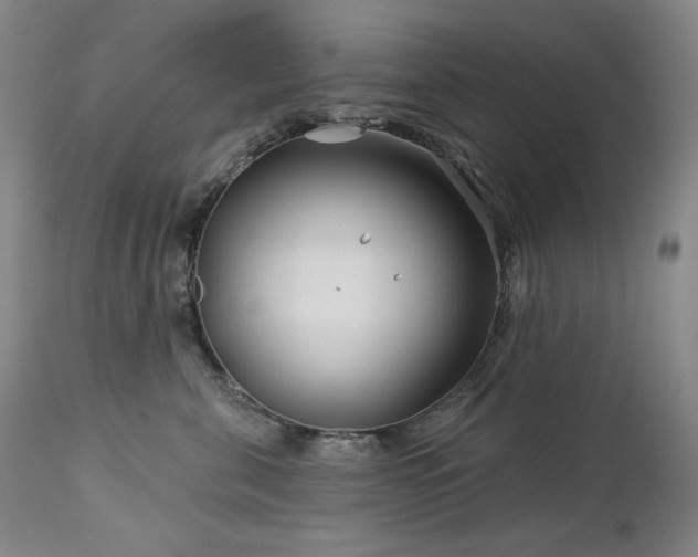 X0000113120571200908281441