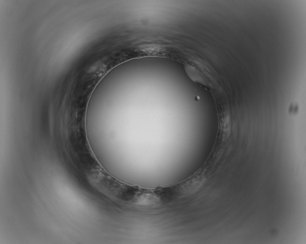 X0000113120572200908281441