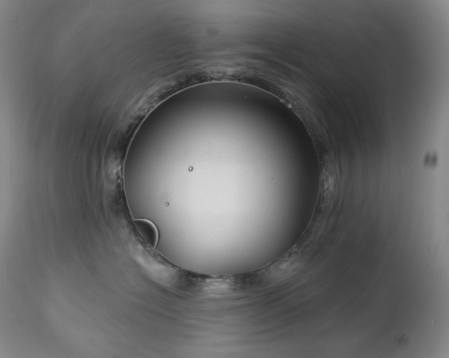 X0000113120574200908281441