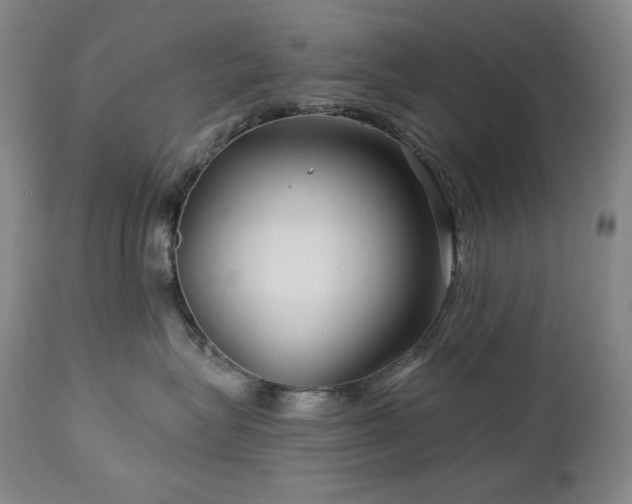 X0000113120575200908281441