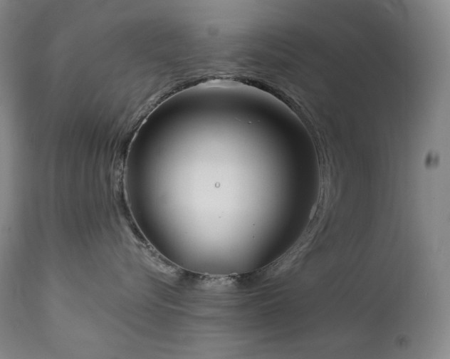 X0000113120576200908281441