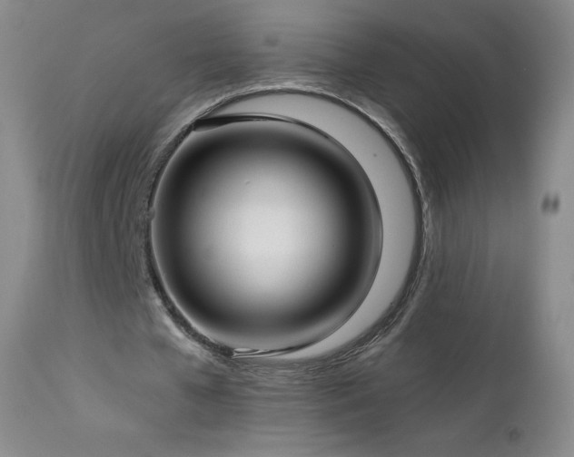 X0000113120577200908281440