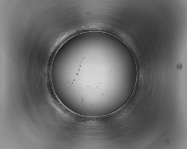 X0000113120578200908281440