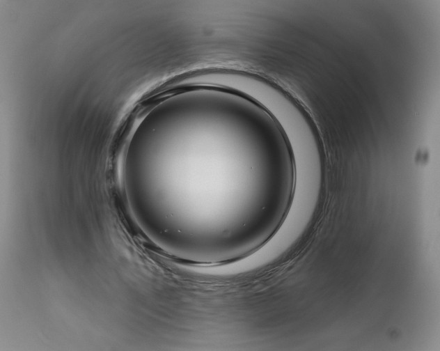 X0000113120579200908281440