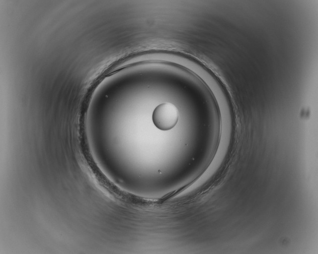 X0000113120581200908281440