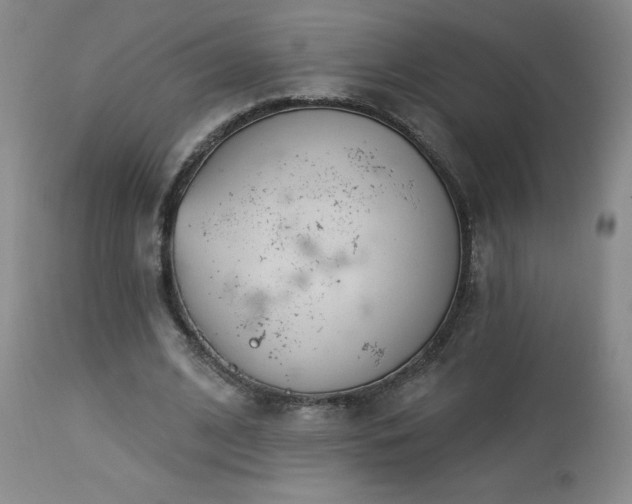 X0000113120584200908281440