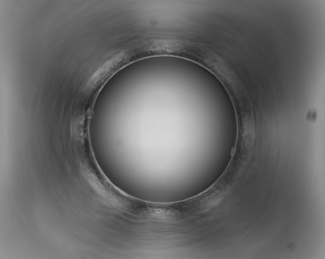 X0000113120585200908281440