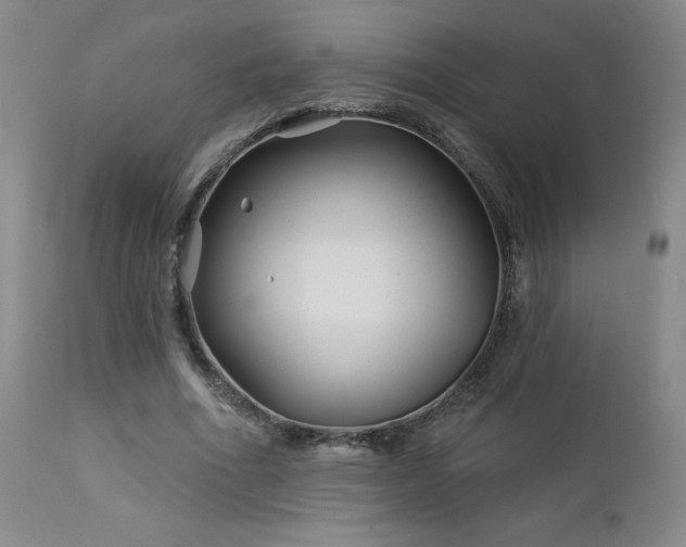 X0000113120586200908281440