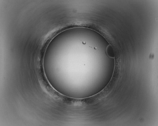 X0000113120587200908281440