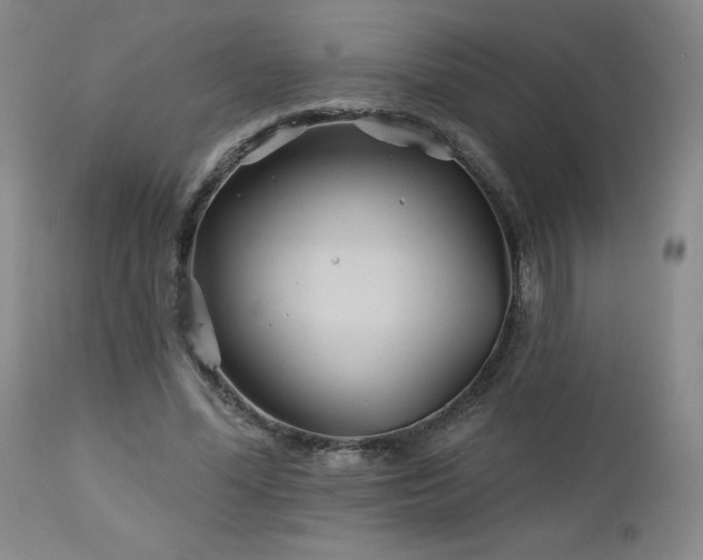 X0000113120588200908281440