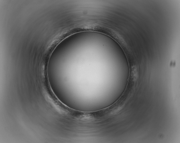 X0000113120589200908281440