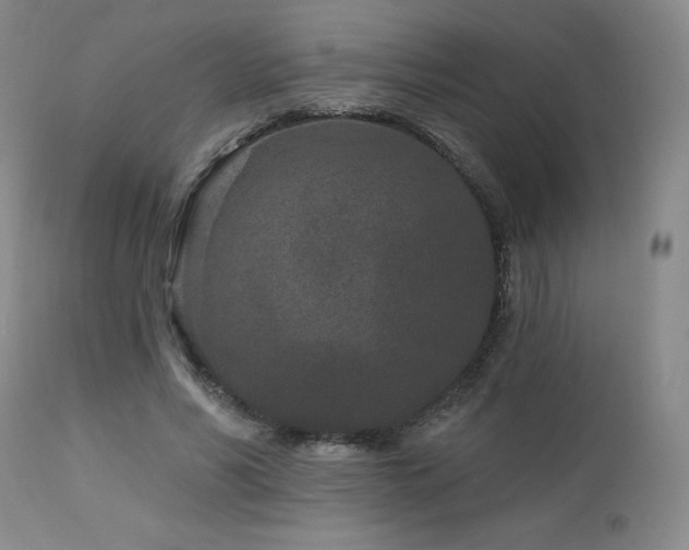 X0000113120590200908281440